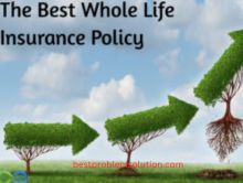 Best whole life insurance policy for adults